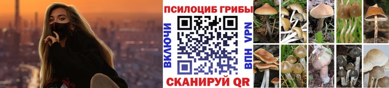 Псилоцибиновые грибы ЛСД  Хадыженск 